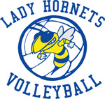 V-Ball Mascot