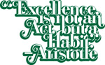 Excellence is not an Act