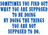 Insanity Phrase