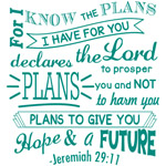 Plans Quote