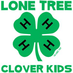 Large Clover