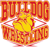 Wrestling Strike
