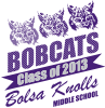 Bobcat Spirit