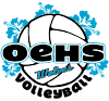 Hibiscus Volleyball