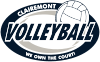 Volleyball Swirl
