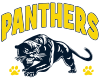 Panther Cheer Spirit