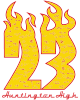 Flames Year