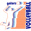 V-Retro Image