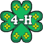 4-H Craft