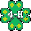 4-H Craft