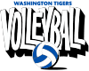 Shadow Pop Volleyball
