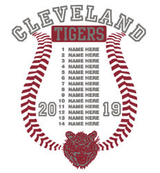 Custom Softball Roster Shirt Designs - Curve Roster - cool-905c1