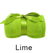 Holiday Blanket Fundraiser - Lime