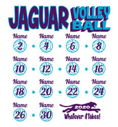 Volleyball Shirt Designs - Volley Stars Roster - idea-224v1