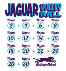 Volleyball Shirt Designs - Volley Stars Roster - idea-224v2